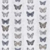 Organic Textures Jewel Butterflies Grey Wallpaper