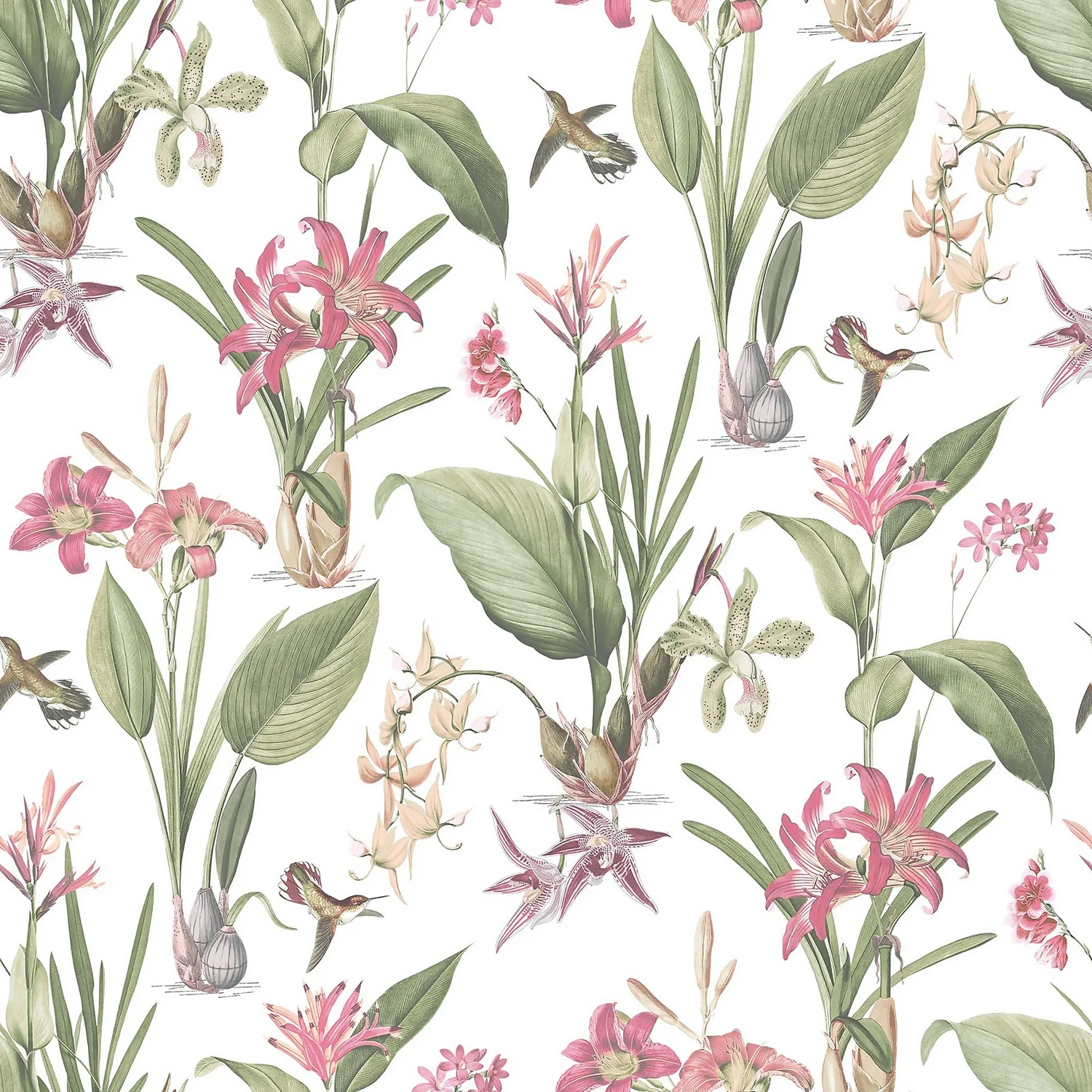 Galerie Botanical Illustration Pink Wallpaper Galerie Botanical Illustration Pink Wallpaper -Flooring And Tile Store 13910543 8284994886045864